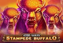 Stampede Buffalo 4096 Ways